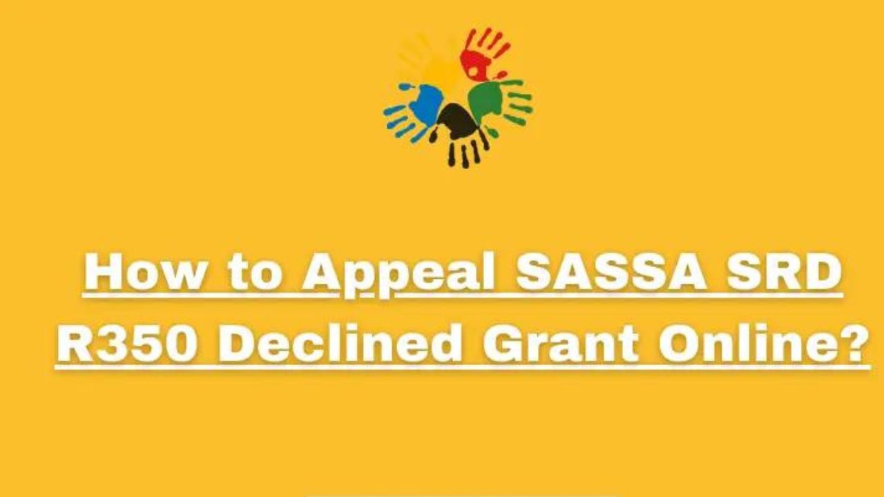 Can I reapply for the SASSA R3501