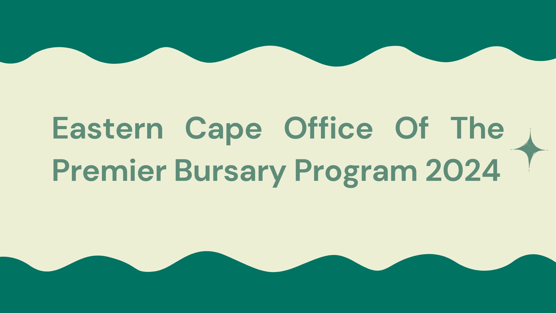 Eastern Cape Office Of The Premier Bursary Program 2024